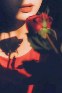 PR1073